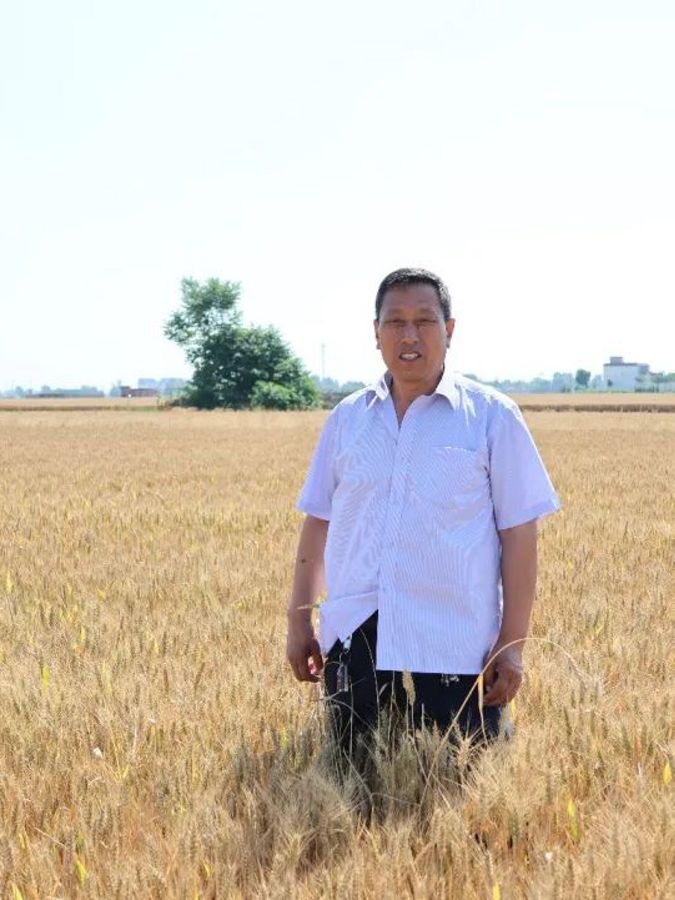A man stands smiling in a golden wheat field