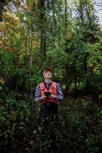 a forester looks up at the trees