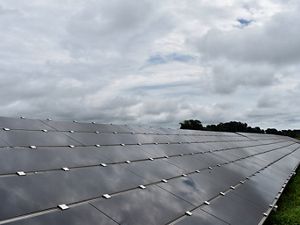 Solar panels at the Mount Olive I solar farm.