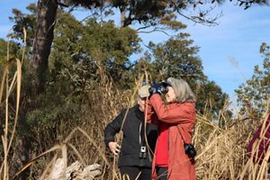 Visitors holding binoculars to see birds.