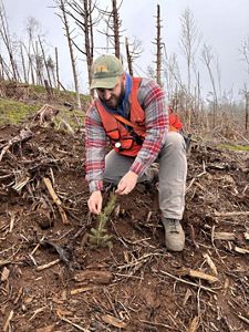 An ecologist is kneeling to plant a new tree in the disaster area where all the trees were destroyed.