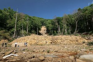 Crew members standing at the base of a mountain where a massive mudslide cut a path of destruction through a forest.