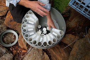 An expert fills a bucket with small bottles holding water samples from the disaster zone.