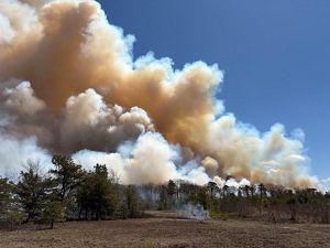Plumes of smoke rise from the forest treeline amidst a clear blue sky.