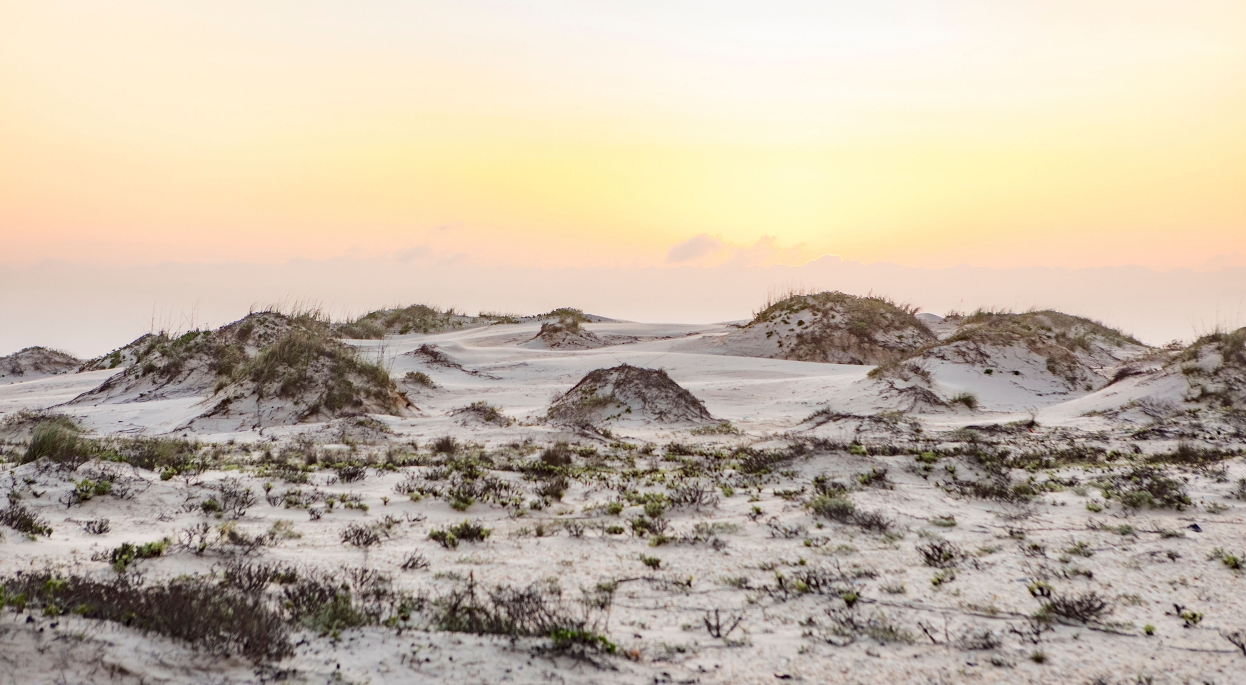 White sand dunes at sunset with some dune grasses growing on them.