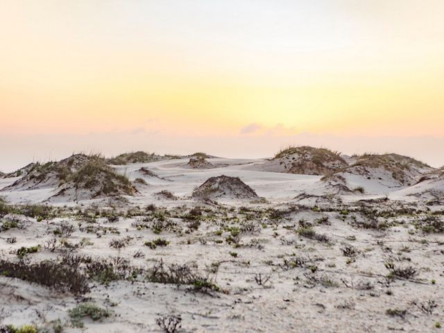 Sand dunes at South Padre Island.
