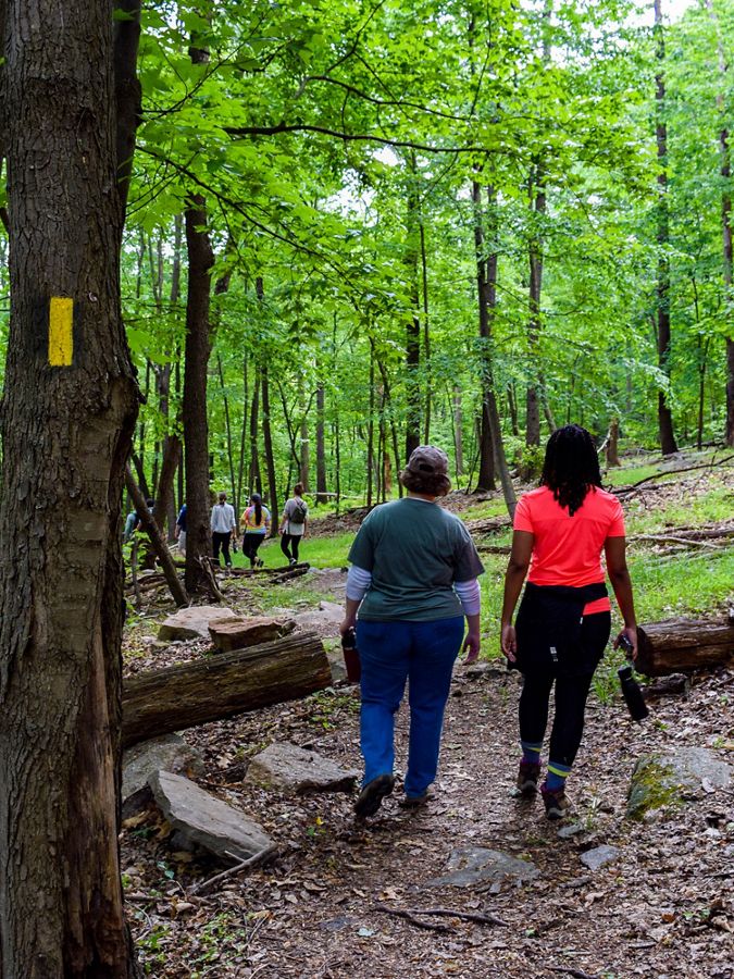 Two people walk through a cleated path in the forest.