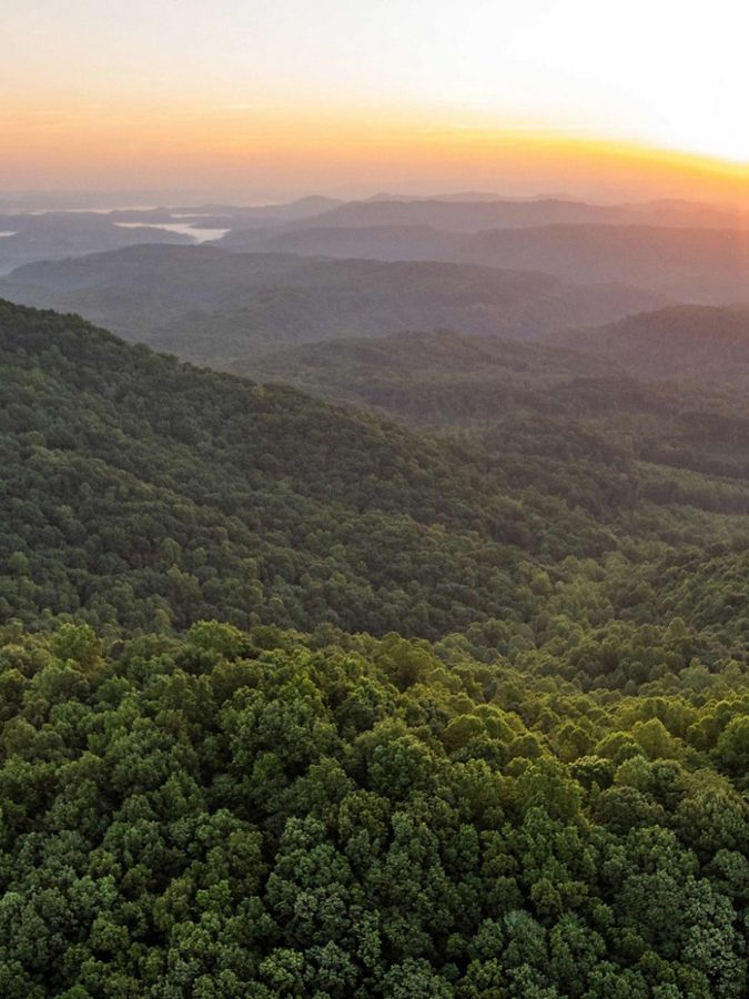 Aerial view of a sunset over a green forest.