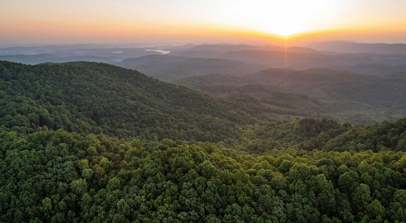 Sunset over forested mountains