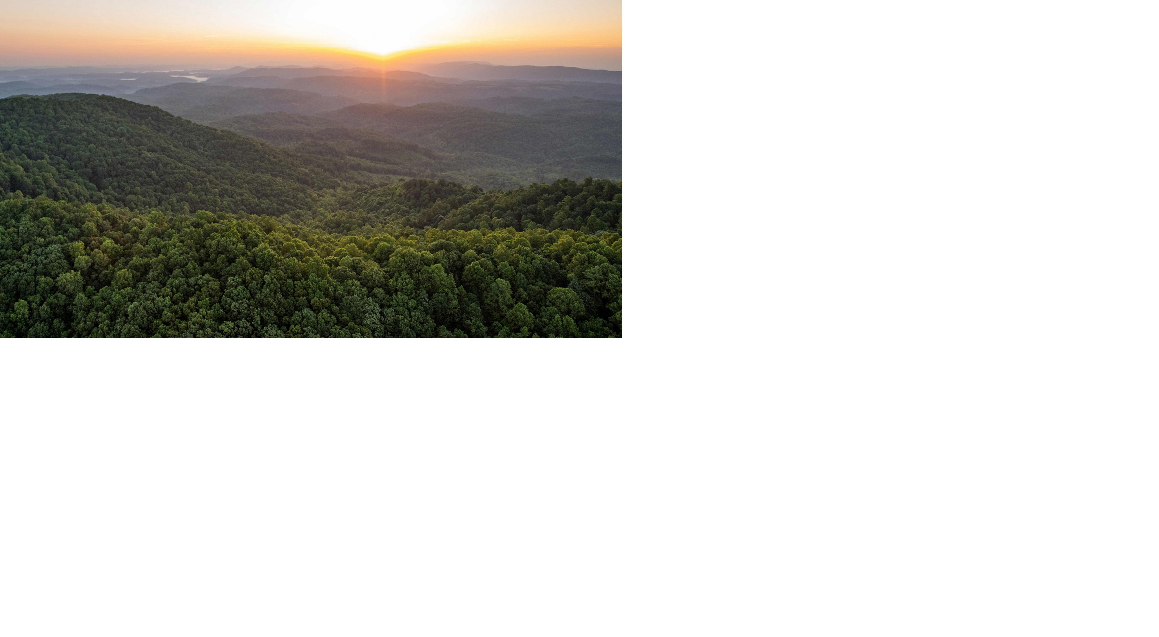 Sunrise aerial image taken near the border of Tennessee and Kentucky of land protected by The Nature Conservancy's Cumberland Forest Project. May 2019. The Cumberland Forest Project protects 253,000 acres of Appalachian forest and is one of TNC’s largest-ever conservation efforts in the eastern United States.