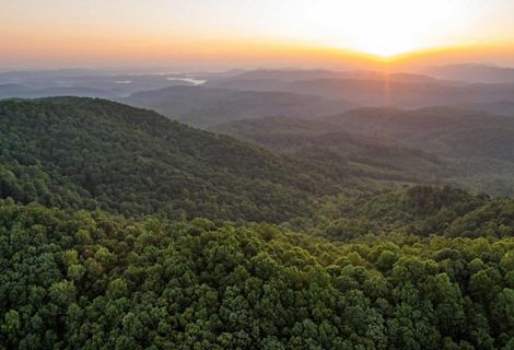 Aerial view of an expanse of green forested mountains at sunset.