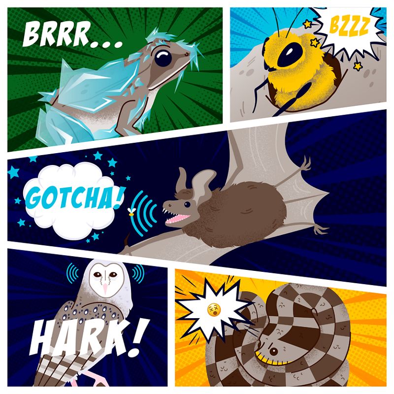 Comic book-type panels with illustrations of animals with words to represent their superpowers.