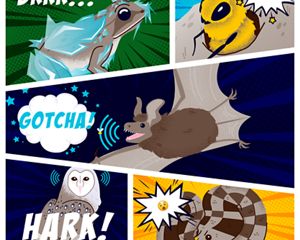 Comic-book style panels featuring various animals with words that hint at their superpower.