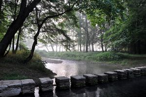 Stepping stones form a bridge across a river, encompassed by trees on a foggy day.