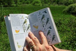 A hand touches an open book that features different species of birds.