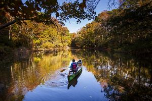 Bekah Herndon canoeing on the still waters of a freshwater pond along the Discovery Trail during a sunny autumn afternoon at the Nags Head Woods Preserve in North Carolina. 