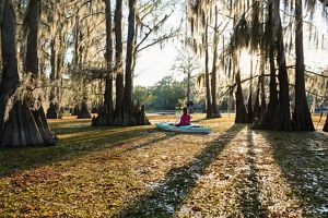 A canoeist paddles through the bald cypress trees of Caddo Lake in Texas. 