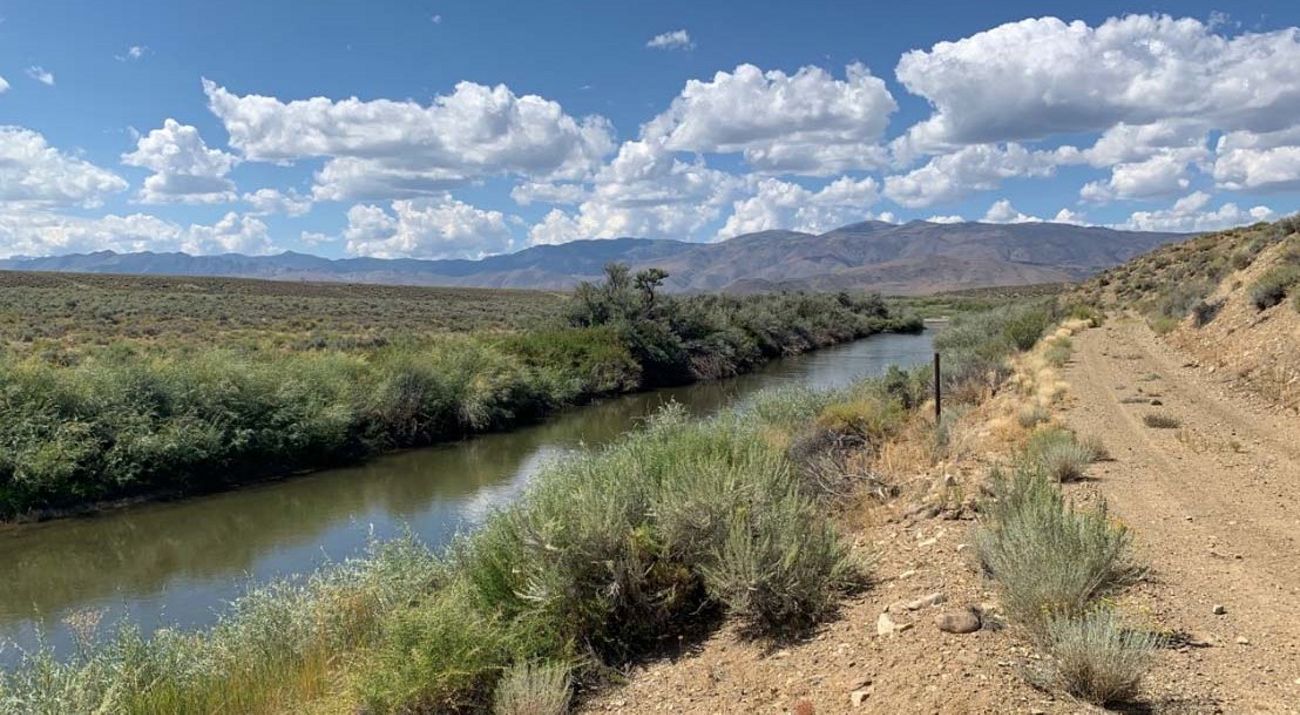 The Walker River with mountains in the background.