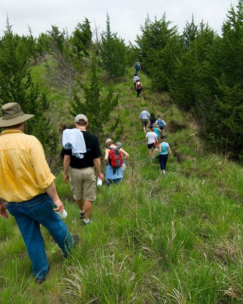 A long line of people walk across a grassy landscape within the Loess Hills.