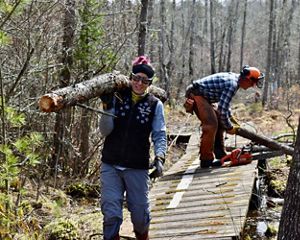A person carries a large log over their shoulder across a wooden boardwalk in a forest.