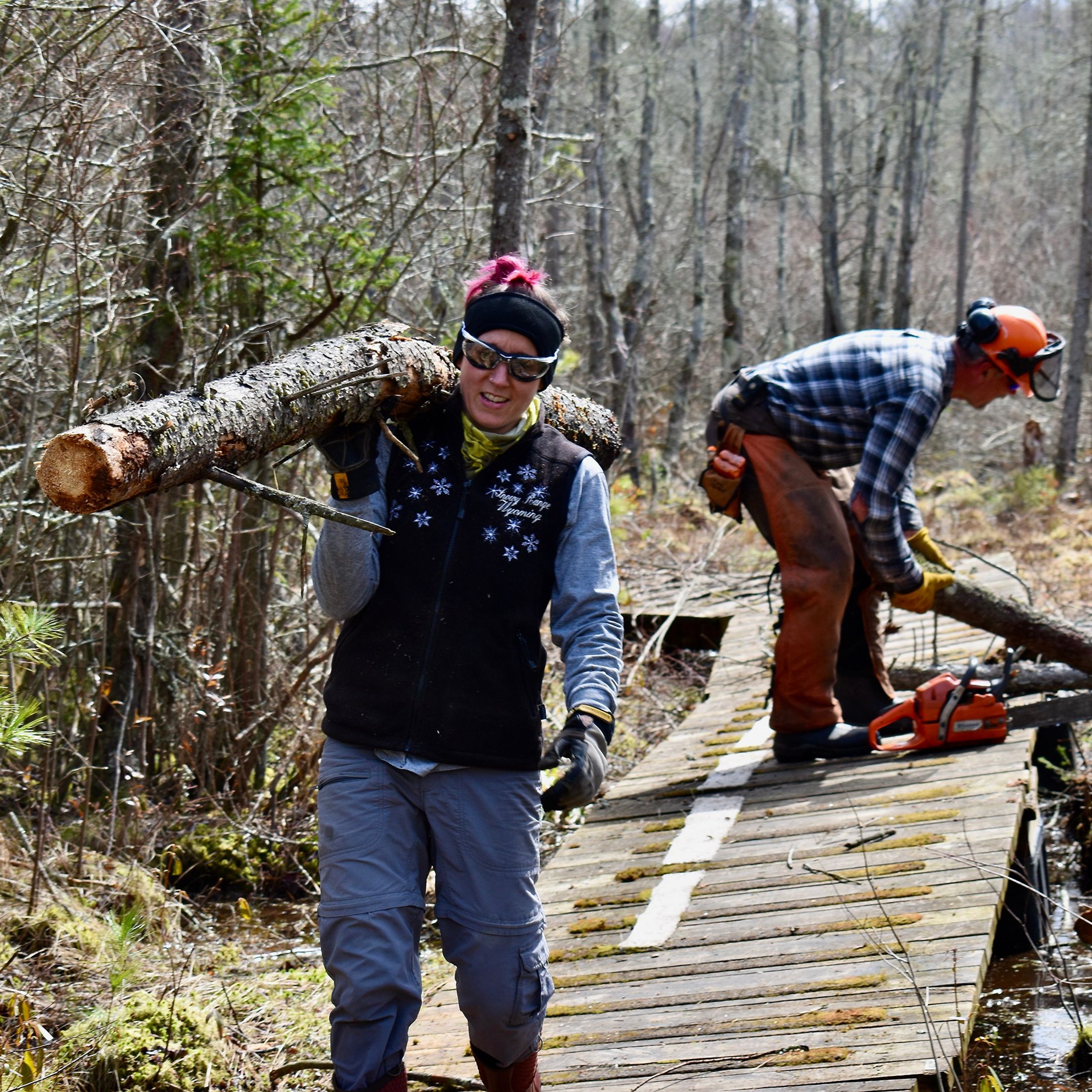 A person carrying a log over their shoulders walks on a wooden boardwalk through the forest.