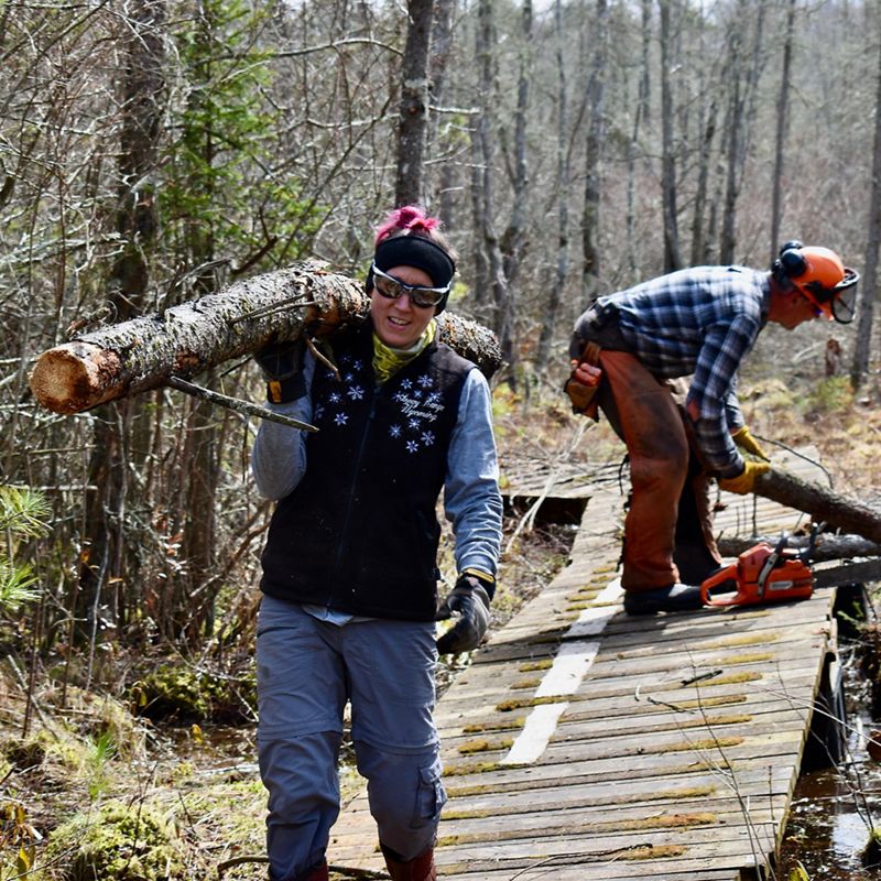 A person carrying a log over their shoulders walks on a wooden boardwalk through the forest.