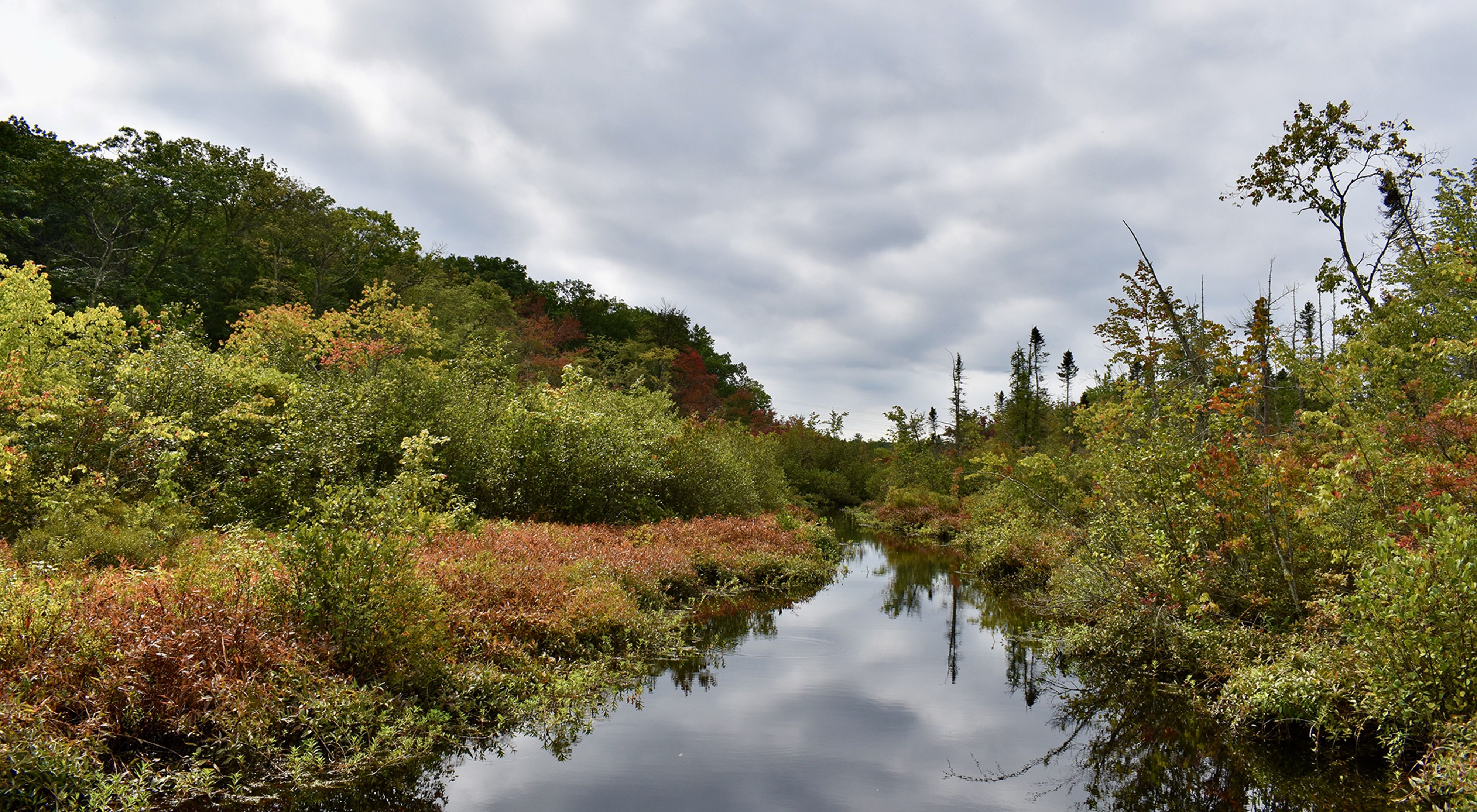 A wide stream of water flows between heavily vegetated banks of tall, woody bushes. The still surface of the water reflects the heavy, low clouds above.