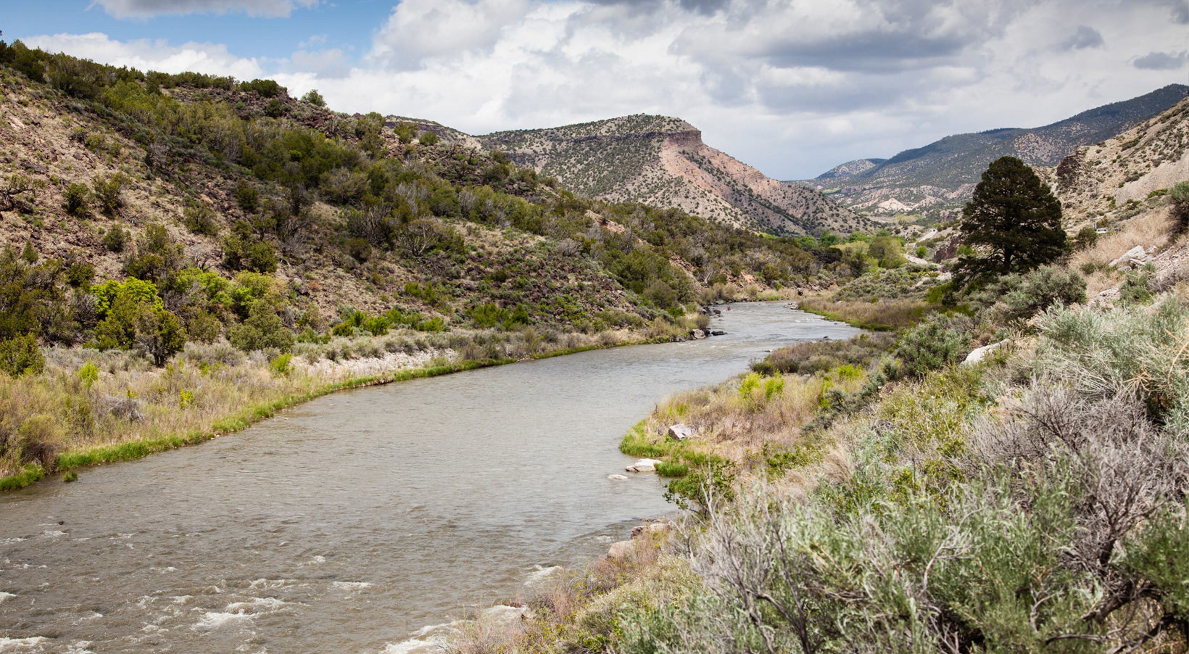 river running through New Mexico landscape