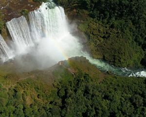Catarata de agua en paisaje boscoso