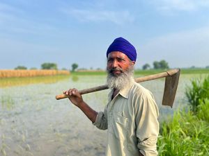 Man in button down shirt looks at the camera, holding a farming tool and stands in a rice paddy field.