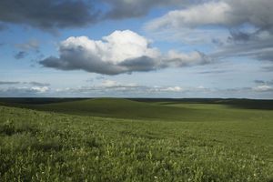 Clouds move across the sky. Green, rolling prairie grasses are visible below.