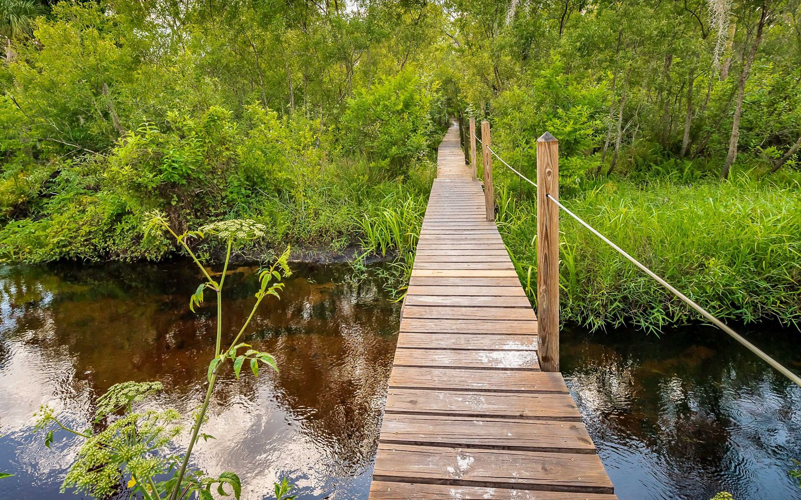 Boardwalk with a rope railing over a creek at Tiger Creek Preserve. 