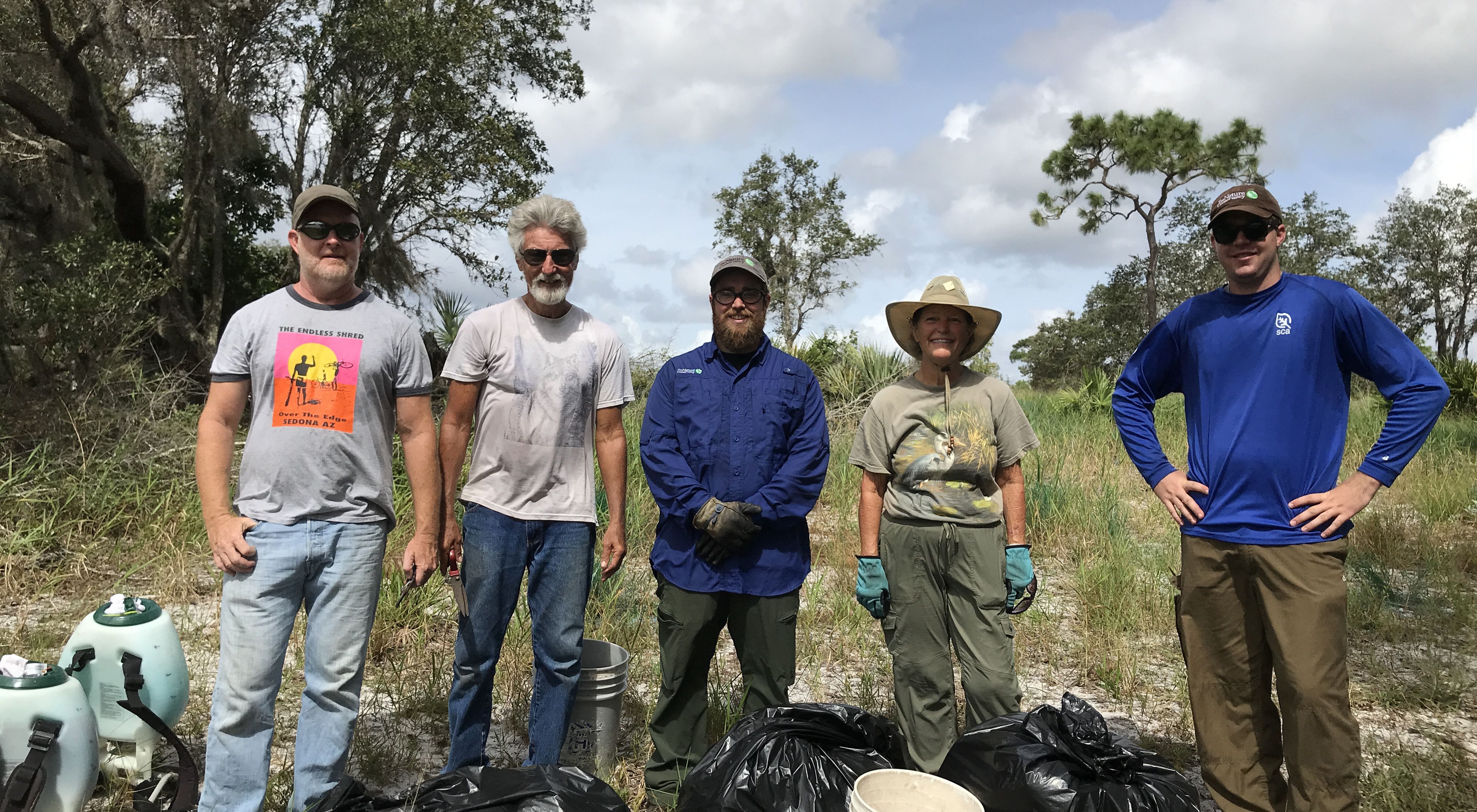 Ridge Rangers volunteer to remove invasive natal grass at Tiger Creek Preserve.