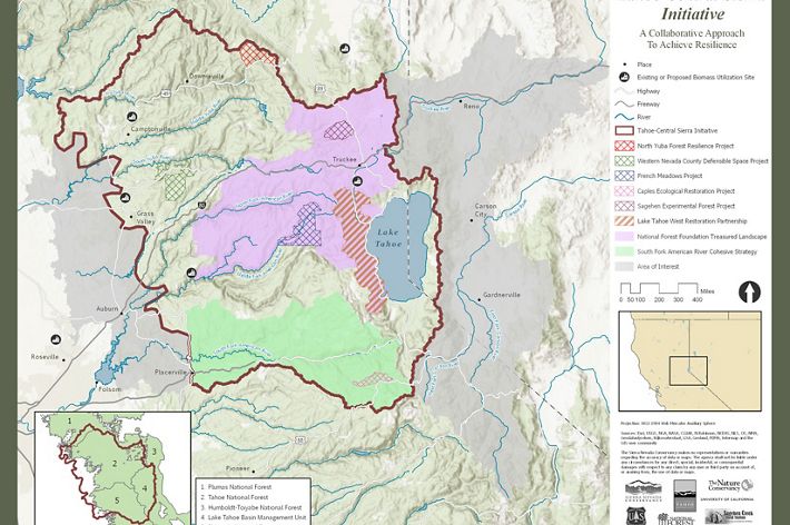 Under the TCSI, the Conservancy is working with 7 partners to innovate approaches to forest restoration and increase the pace and scale of work over a 2.4 million acre area.