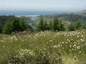 Ten Mile River view.