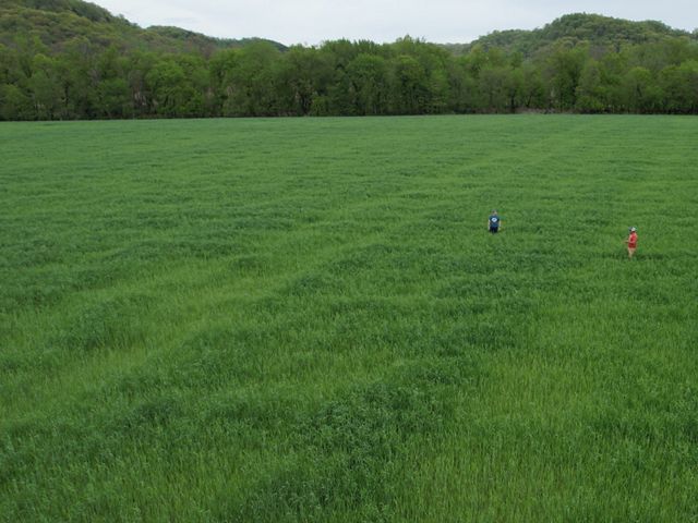 Brothers Matt and Seth Tentis standing in a field of cover crops with a white pickup truck parked nearby.