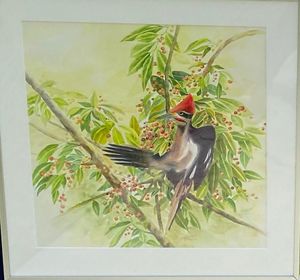'Cherries for Breakfast' by Teresa Chin: watercolor depicting a male pileated woodpecker.
