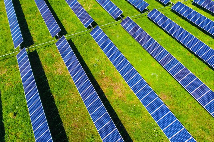 Aerial photo of rows of solar photovoltaic panels spaced apart by grass.