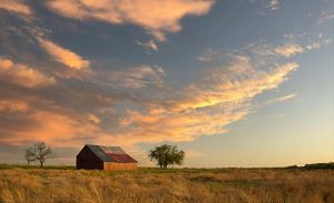A painting of the Texas flag adorns the roof of a barn surrounded by tall prairie grass at sunset.