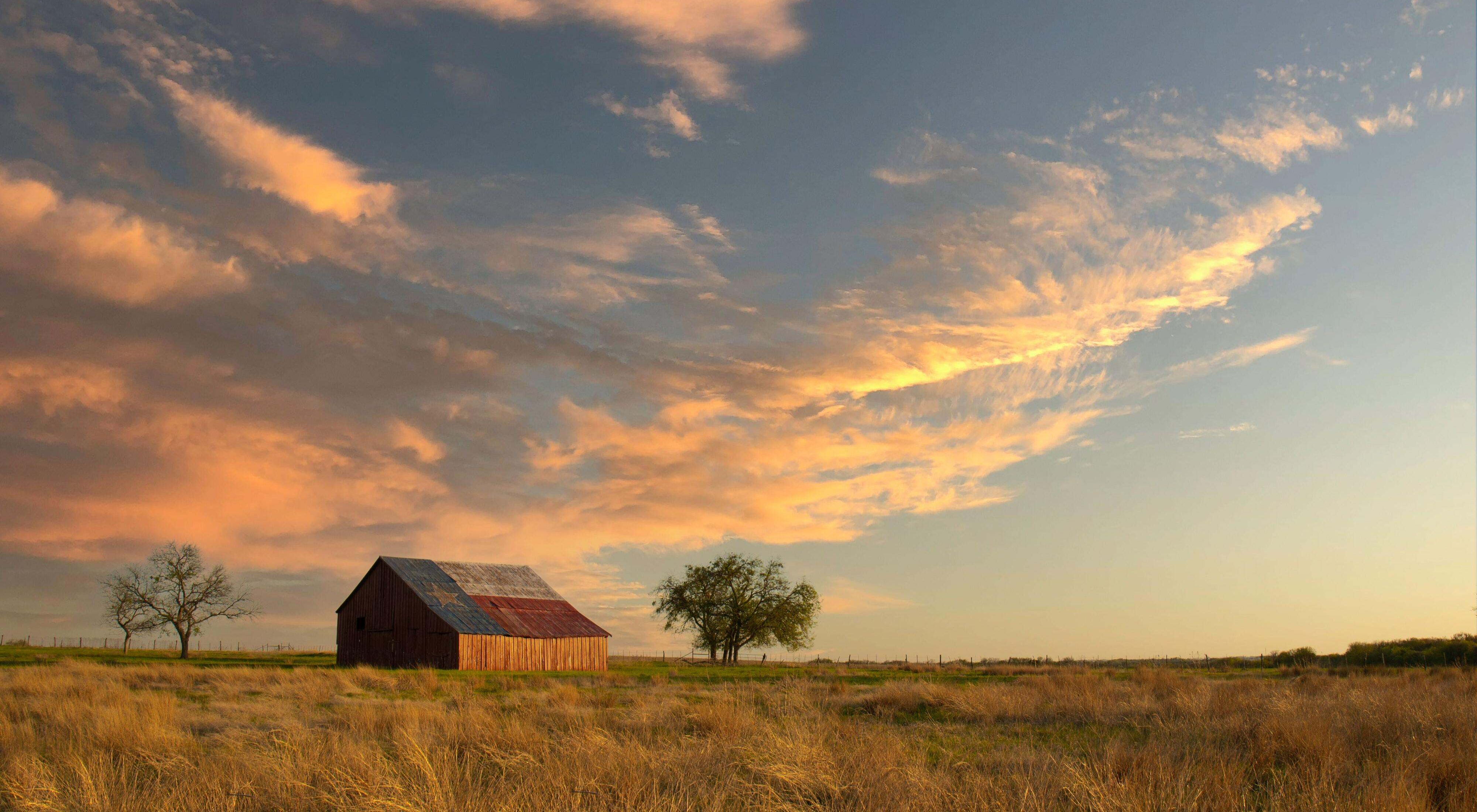 A painting of the Texas flag adorns the roof of a barn surrounded by tall prairie grass at sunset.