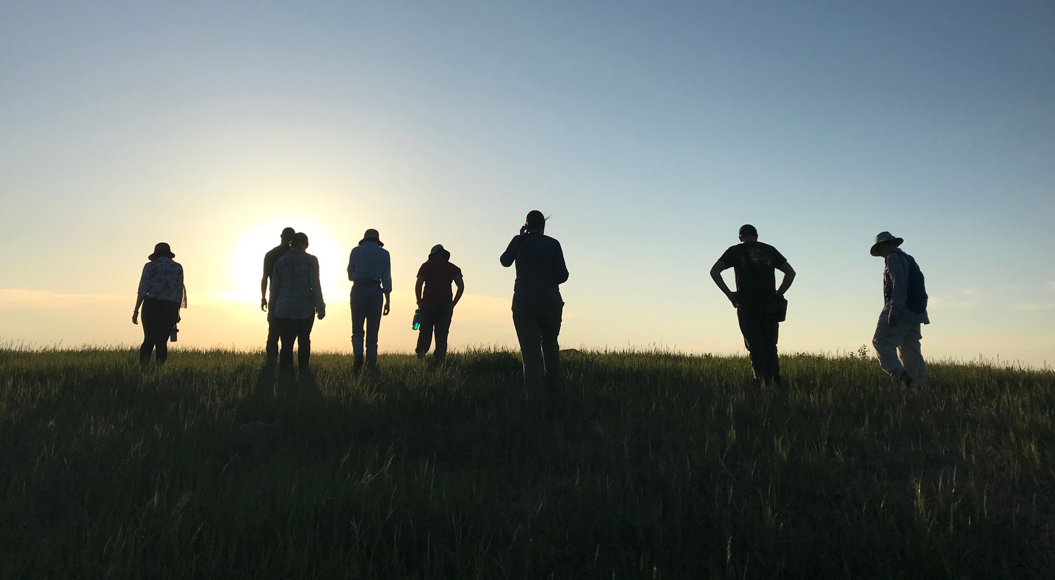 a group of heroic-looking ecologists walking toward the sunset on a prairie.