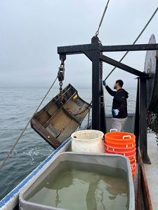 A fisherman prepares to lower gear fitted with a temperature sensor into the water.