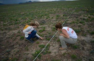 Two researchers kneel in the grass.