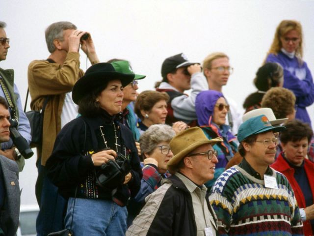 Image from 1993 of the crowd watching as bison are released back on the prairie. 