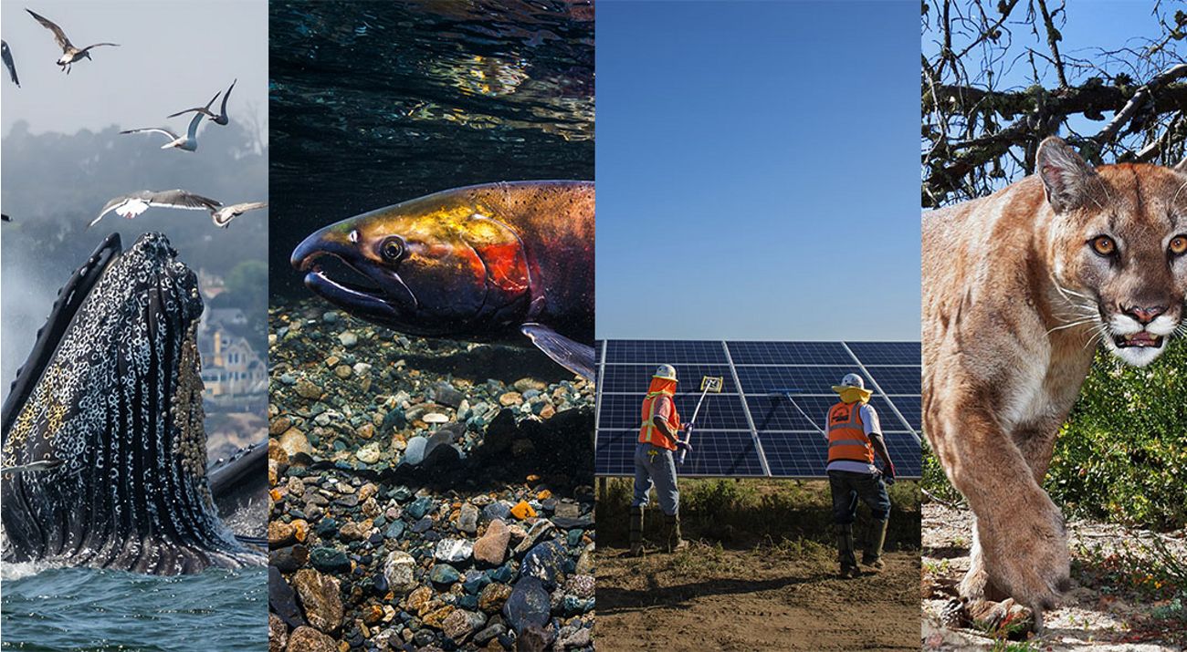Join us this fall for a series of webinars where our scientists envision the future of California.