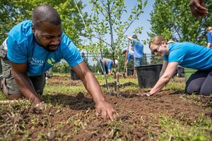 A group of people plant trees in a park.