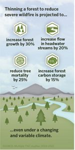 Infographic showing the effects of foresting thinning.