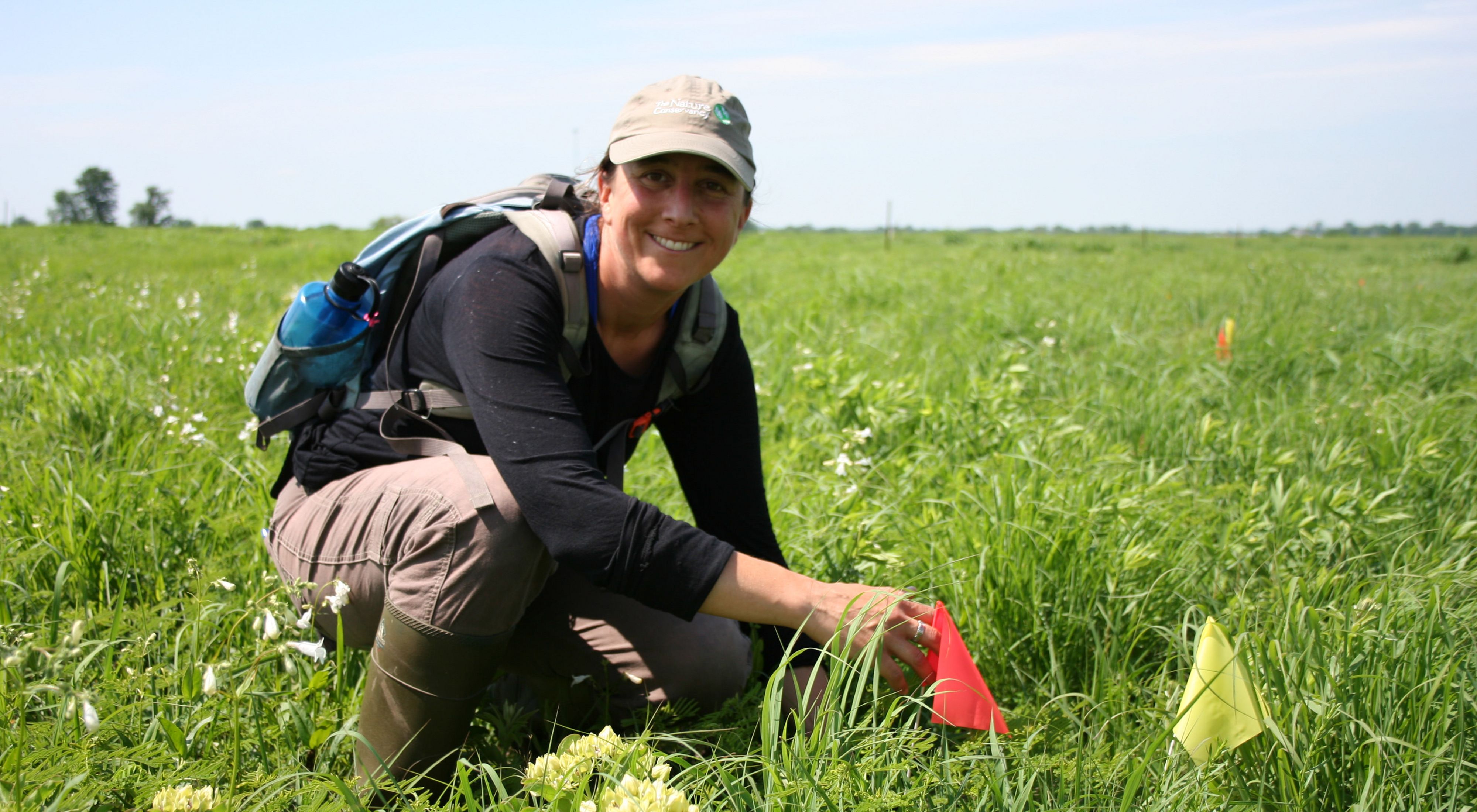 The University of Kansas doctoral student checks the condition of plants placed at Anderson County Prairies.