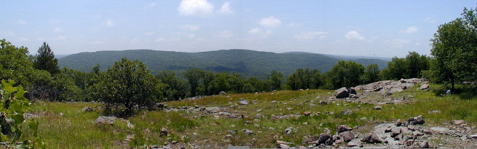 Panoramic view of a forested mountain landscape.