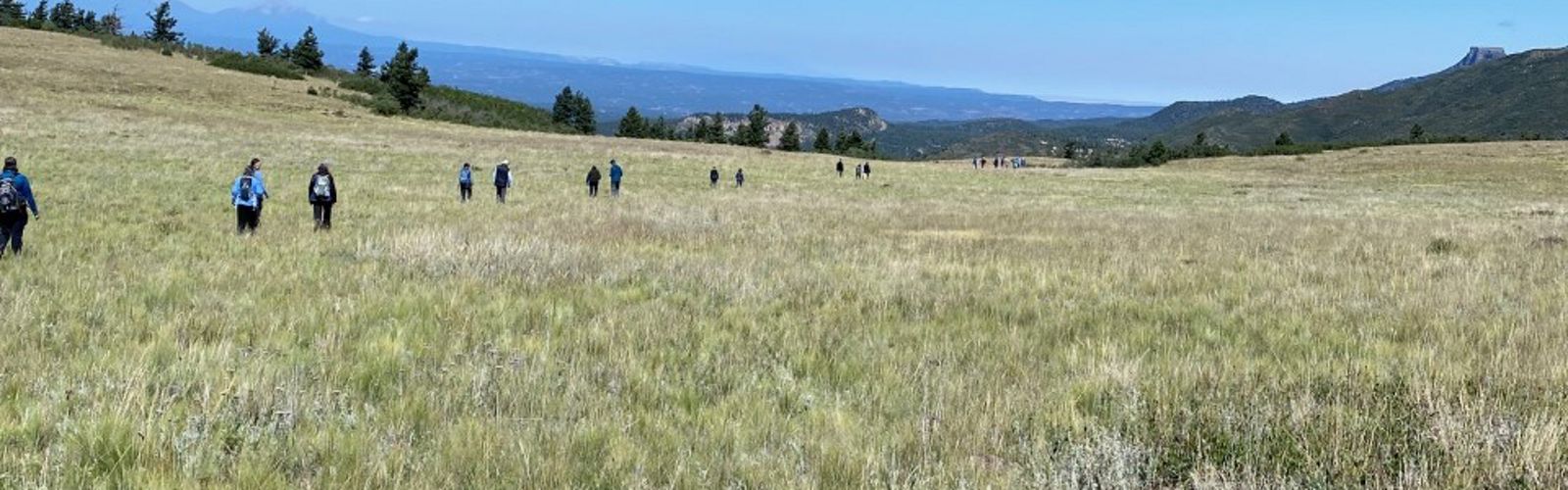 A group of people walking on vast grasslands.